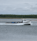 A white fishing boat with a black hull moves across calm gray water under an overcast sky, with a tree-lined shore in the background.