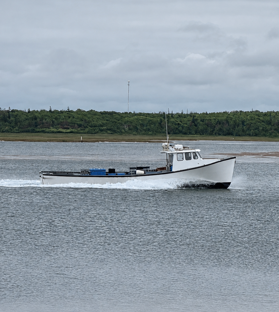 A white fishing boat with a black hull moves across calm gray water under an overcast sky, with a tree-lined shore in the background.