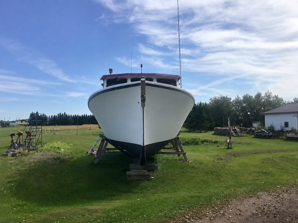 A white boat photographed from the front in an outdoor grassy area under a blue sky, supported by wooden boat stands.