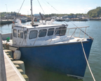 Blue and white boat docked at a pier with a scenic background