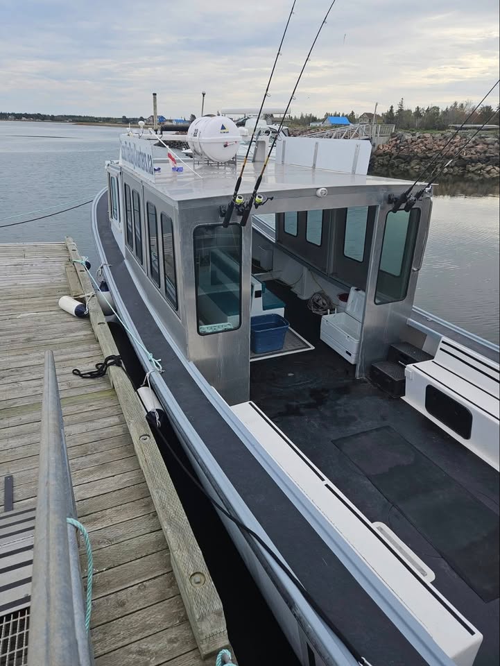 Modern houseboat docked at a wooden pier with water and skyline in the background