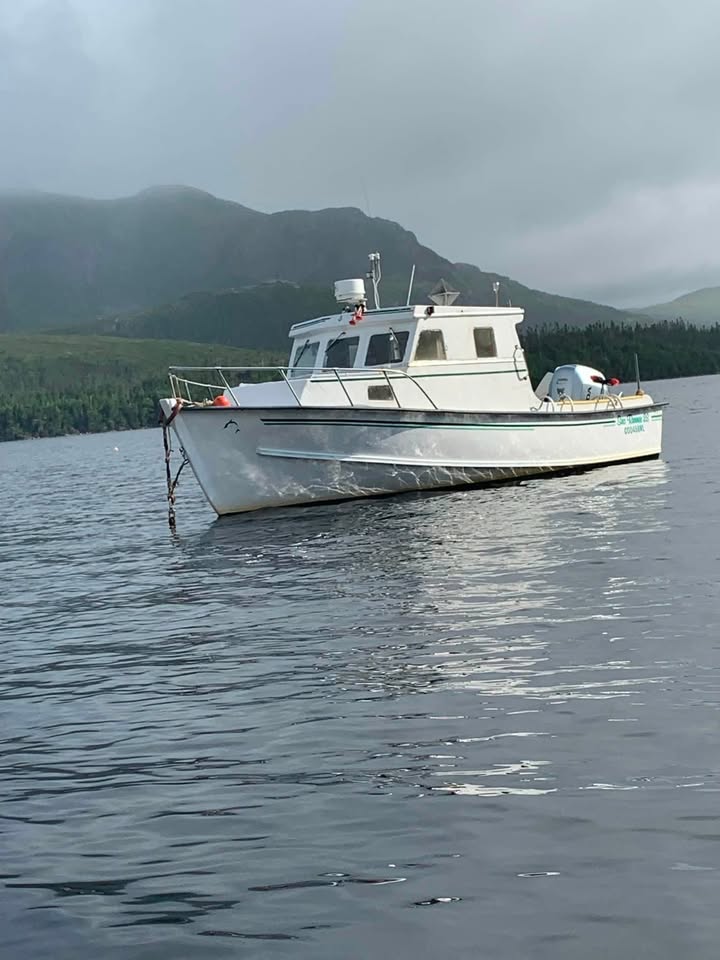 boat boat boat boat boat boat  v