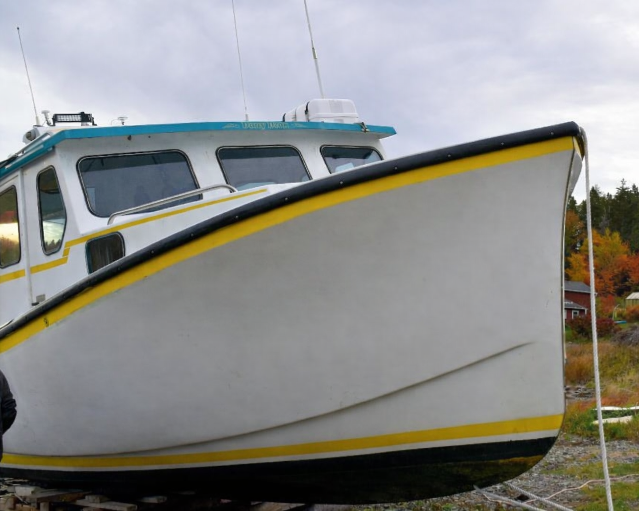 White boat with a yellow stripe on a grassy area with trees in the background