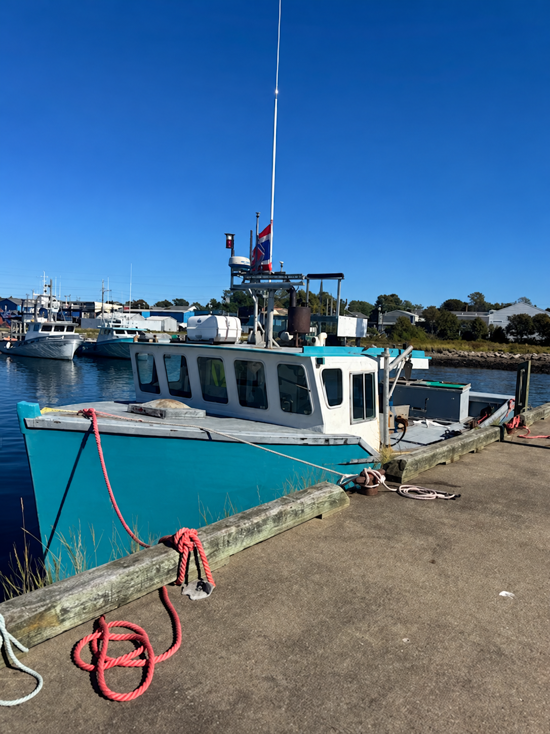 A turquoise and white fishing boat docked at a harbor under a clear blue sky, with red mooring ropes on the wooden pier in the foreground.