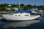 White sailboat docked at a marina with trees and buildings in the background