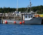 A gray fishing boat docked at a harbor with blue water in the foreground, a forested shoreline in the background, and a bright blue sky with a few clouds above.