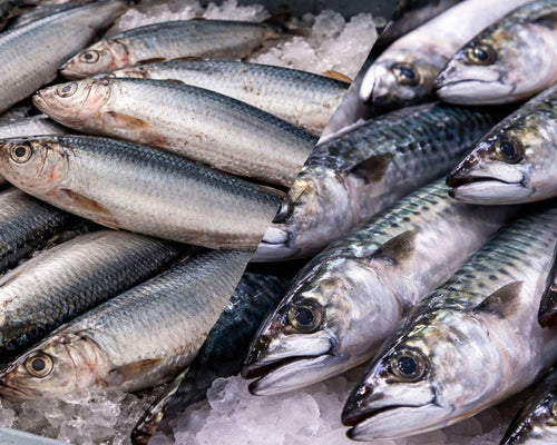 Herring macka