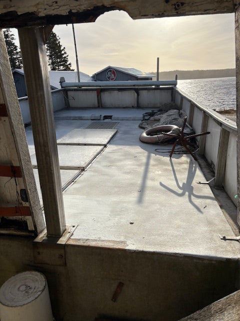 A view from inside a rustic boat or vessel looking out onto a concrete deck, with a life preserver, metal railing, water, and shoreline in the background.