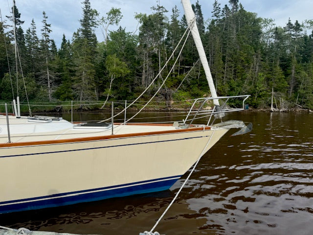 A cream-colored sailboat with a blue and orange stripe, tied to a dock in calm water with a dense green forest shoreline in the background.