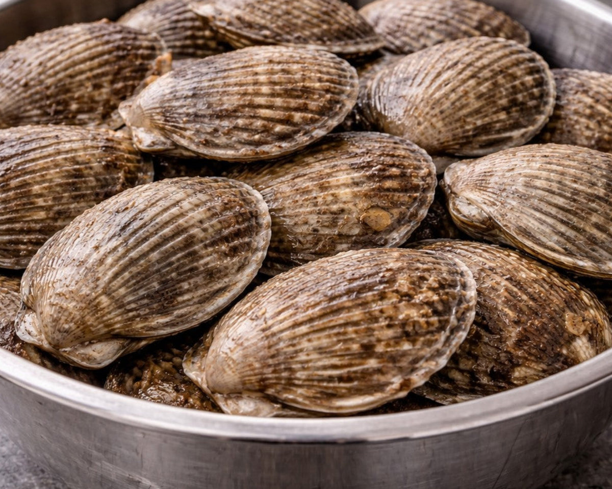Metal bowl filled with brown snail shells on a gray surface
