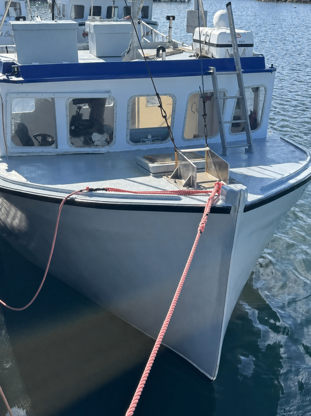 A white boat with a blue stripe along the cabin, docked in water with a pink rope attached to the bow.