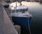 Blue and white boat docked at a pier with a scenic background