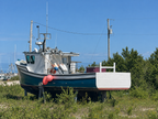 A blue and white fishing boat resting on a boat lift in an outdoor grassy area under a clear blue sky.