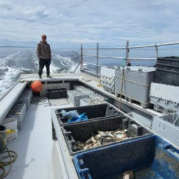 A screenshot of a photo showing a person standing on the deck of a fishing boat with ocean water and sky in the background. The photo appears within a mobile app interface with navigation and motion-photo controls visible.