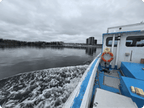 A blue and white boat moving across calm water under an overcast sky, with a life preserver on the side and a distant shoreline with trees and buildings.